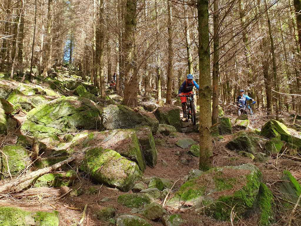 Bigtootmbc-forest-of-dean La rébellion sans suspension : Comment le Royaume-Uni est devenu le roi de l'endurigide.