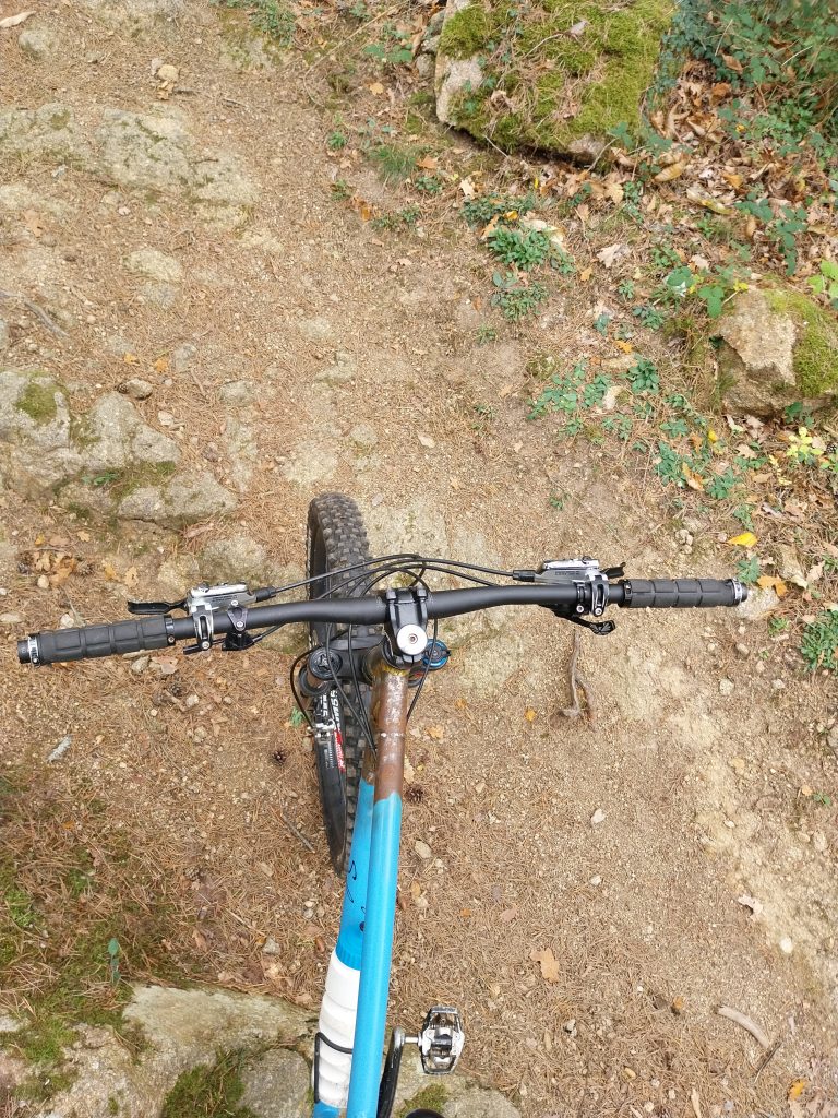 20251101_143115-768x1024 Le Salamandre de Jean-Guillaume : Une valeur inestimable