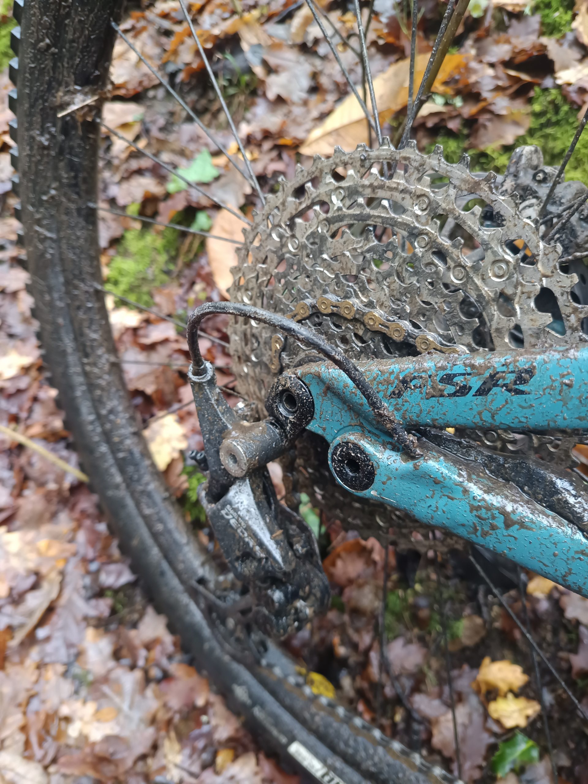 img 20251207 153634[1]